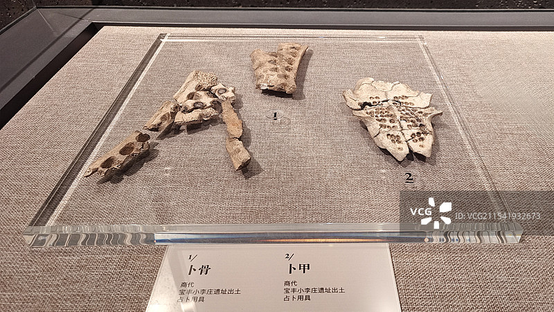卜甲 甲骨文 龟骨 商代占卜用具 （拍摄于平顶山博物馆）图片素材