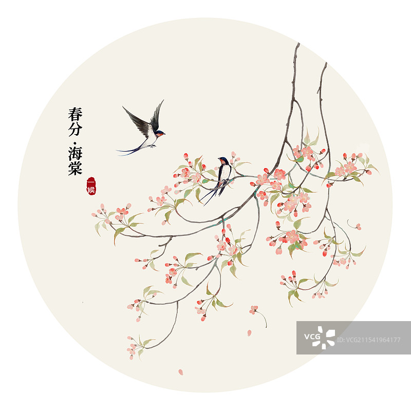 二十四番花信风春分一候海棠图片素材