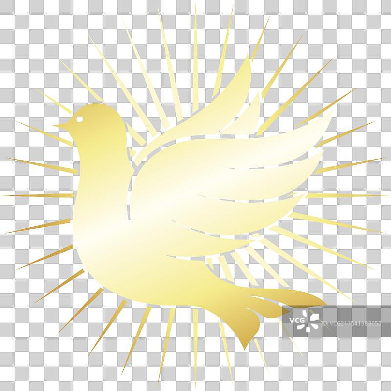 和平鸽与闪耀的金色光芒图片素材