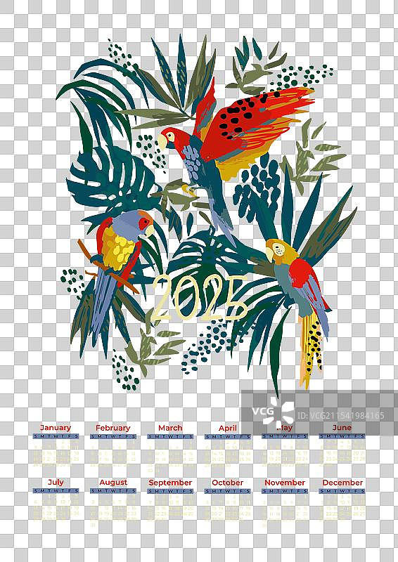 2025年丛林中鹦鹉艺术日历图片素材