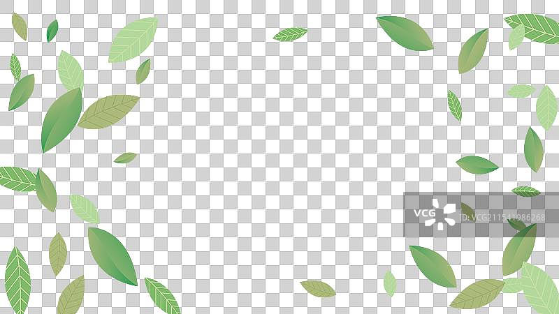 白色背景的新鲜绿色叶子模板图片素材