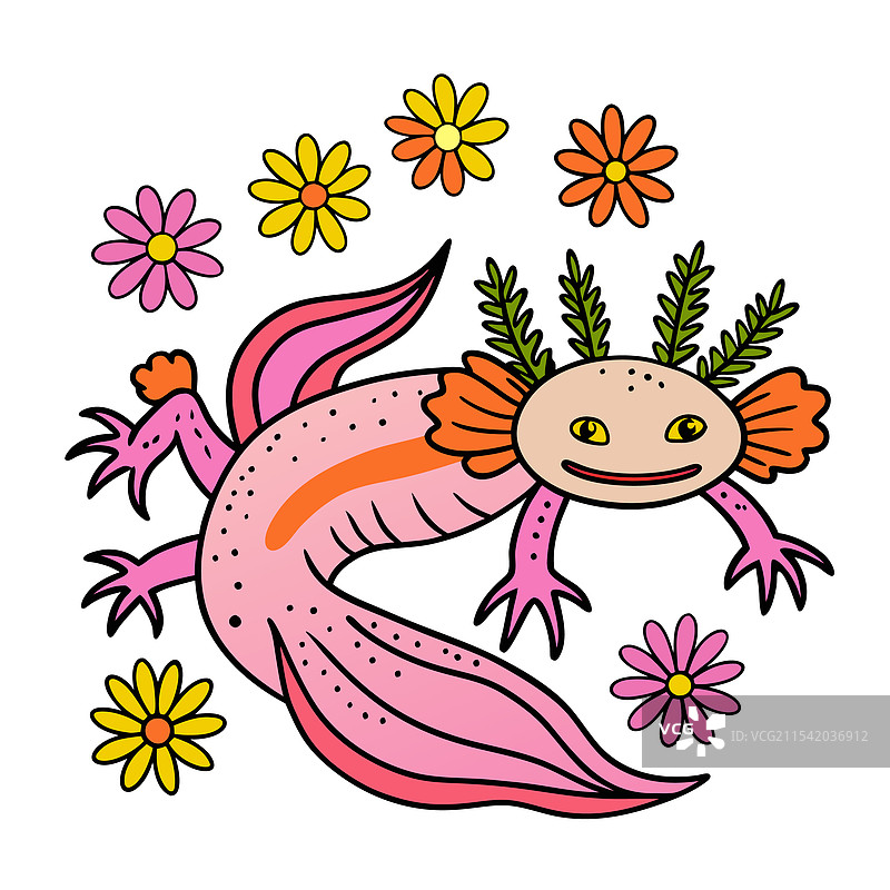 美洲大蜥蜴图片素材