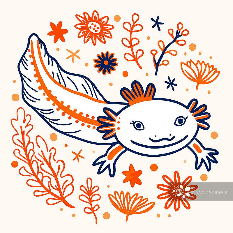 美洲大蜥蜴图片素材