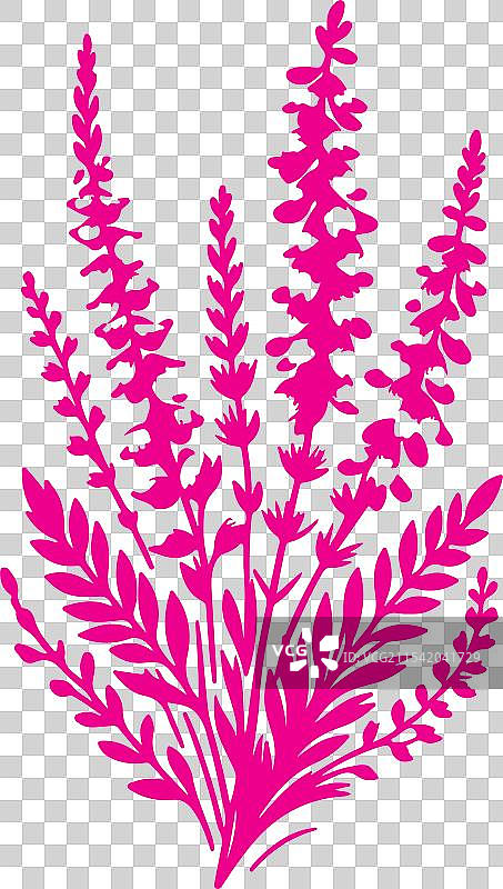 石南花艺术图片素材