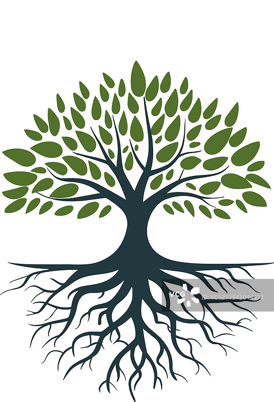雄伟的树木与交错根系的设计图片素材