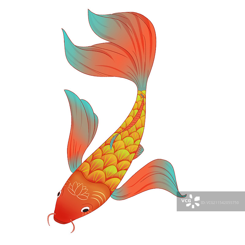 锦鲤单元素插画图片素材