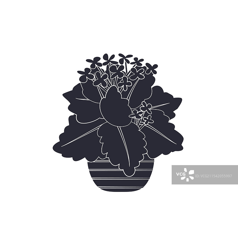黑色版画剪影的盆栽植物图片素材