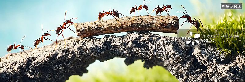 【AI数字艺术】一群蚂蚁协作将木头搬过悬崖，展示大自然中的团队合作，高画质，完美构图，专业级摄影。图片素材