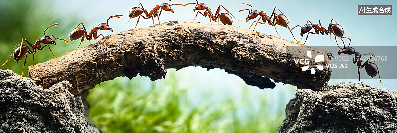 【AI数字艺术】一群蚂蚁协作将木头搬过悬崖，展示大自然中的团队合作，高画质，完美构图，专业级摄影。图片素材