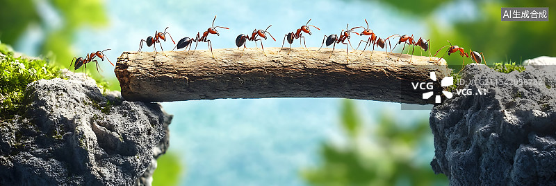 【AI数字艺术】一群蚂蚁协作将木头搬过悬崖，展示大自然中的团队合作，高画质，完美构图，专业级摄影。图片素材