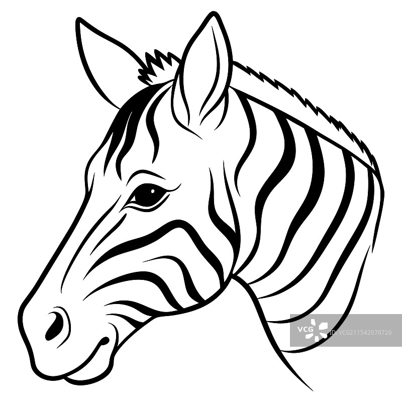 斑马动物侧面脸部轮廓图片素材