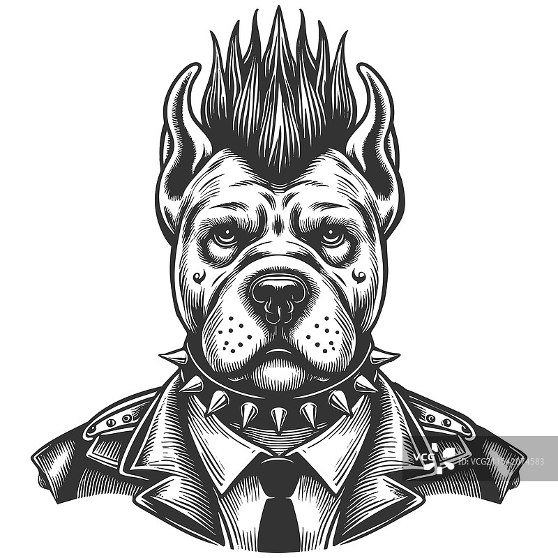 朋克狗莫霍克刺状项圈雕刻图片素材