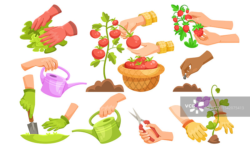 园艺工具和活动套件，配有动手操作图片素材