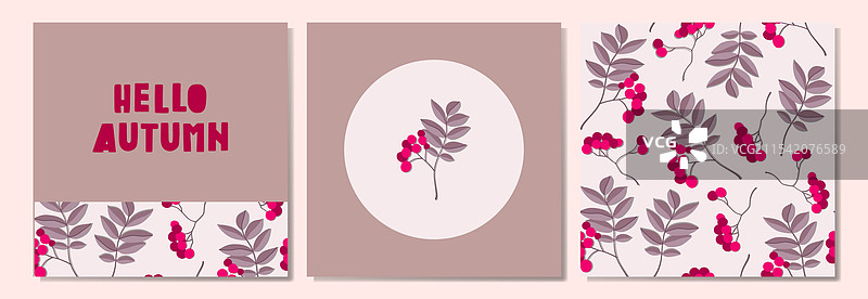 可爱的秋季花卉边框与山楂果花环图片素材