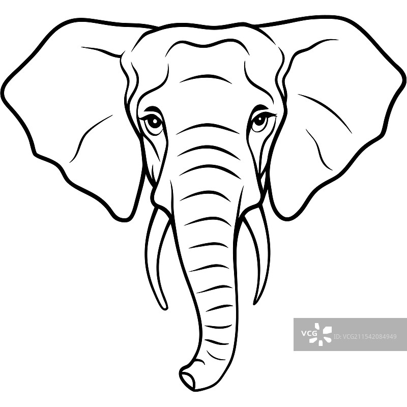 手绘大象头部线条艺术图片素材