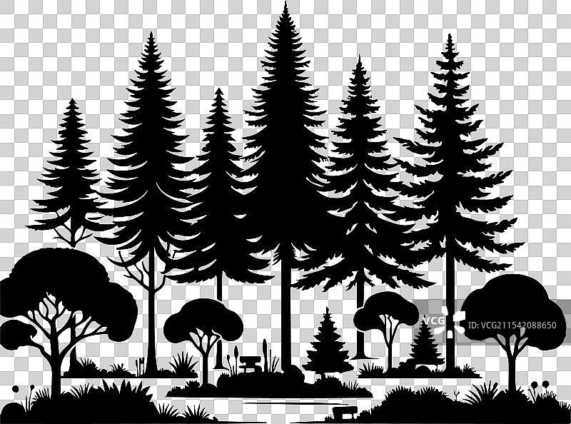 公园里的针叶树和阔叶树图片素材