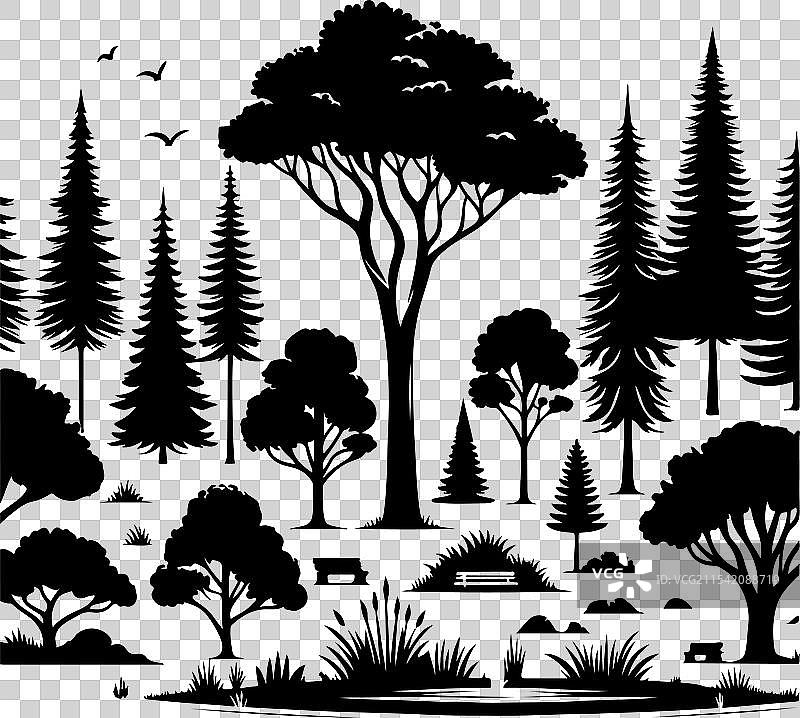 公园中的针叶树和阔叶树图片素材