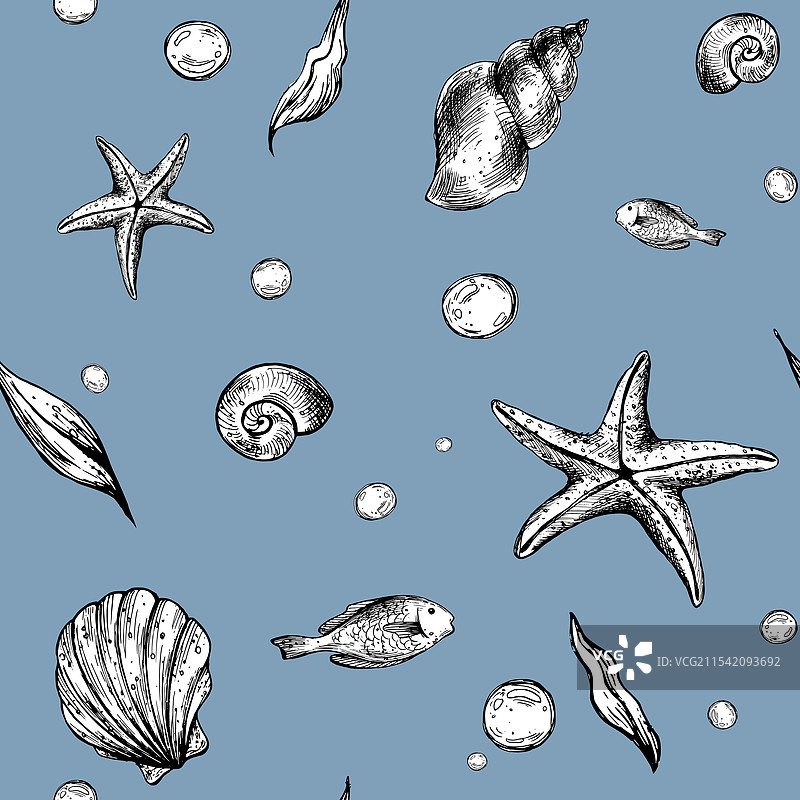 海贝、海星、海藻、鱼和气泡图片素材