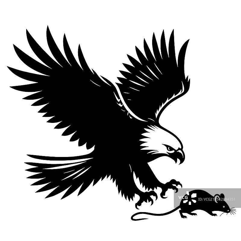 老鹰俯冲捕捉老鼠图片素材