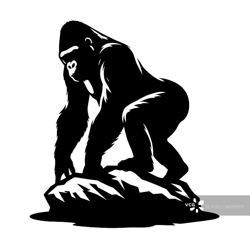 岩石上的大猩猩剪影图片素材