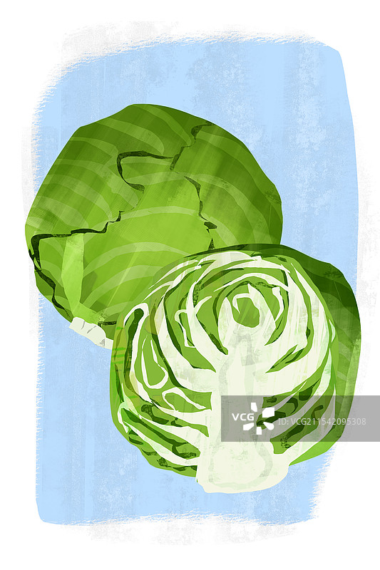 蔬菜绿甘蓝插画图片素材