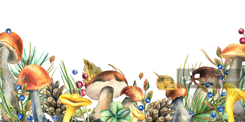 森林中的蘑菇：牛肝菌和鸡腿菇图片素材