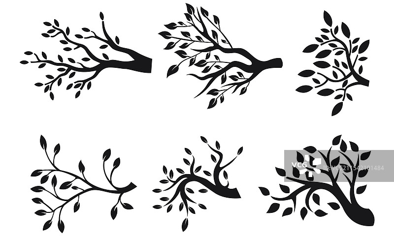 树枝和叶子的剪影图片素材