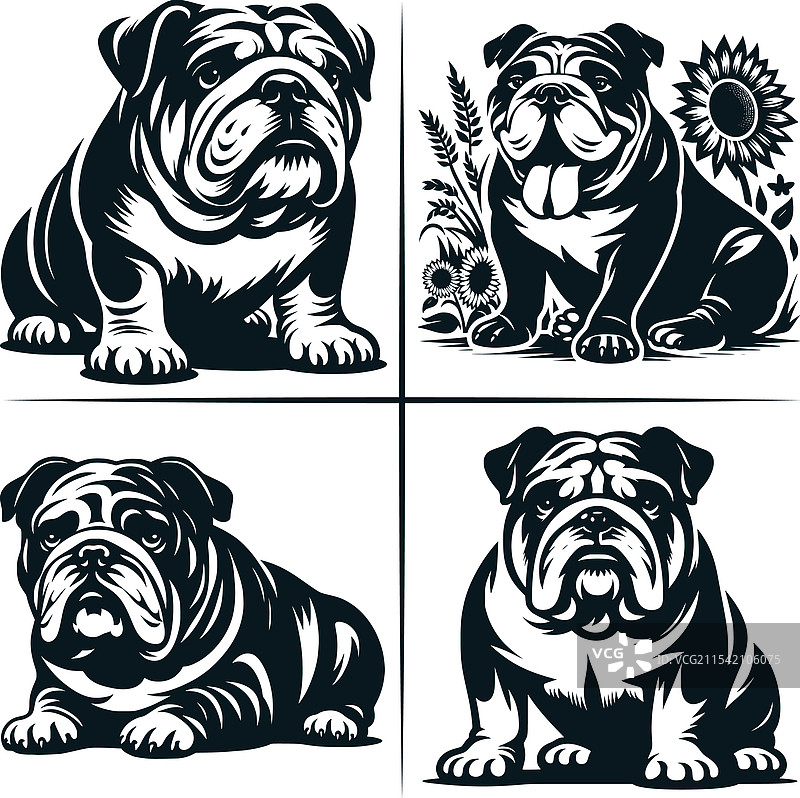 英式斗牛犬小狗剪贴画图片素材