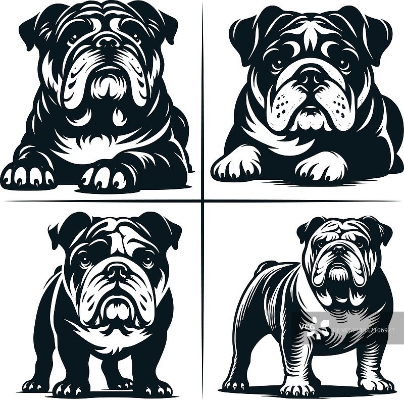 英斗犬小狗剪贴画图片素材