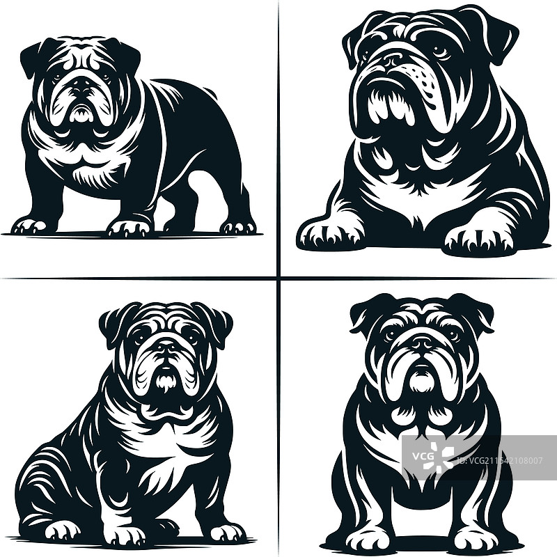 英式斗牛犬小狗剪贴画图片素材