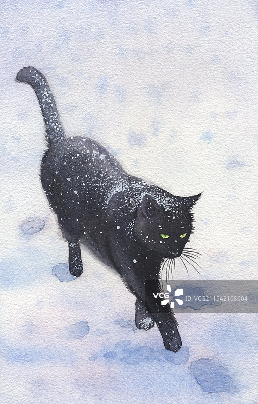 冬天的黑猫插画图片素材