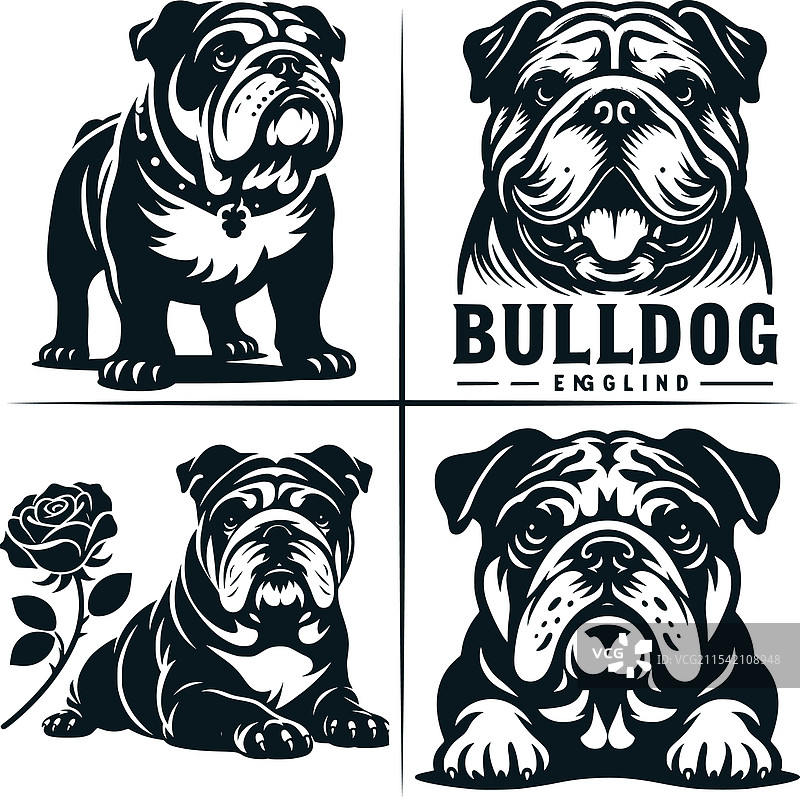 英式斗牛犬小狗剪贴画图片素材