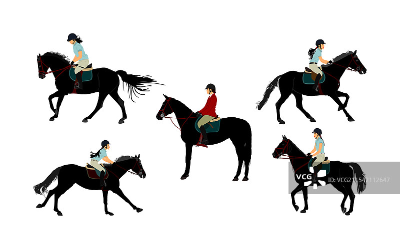 奔跑中的雌性赛马图片素材