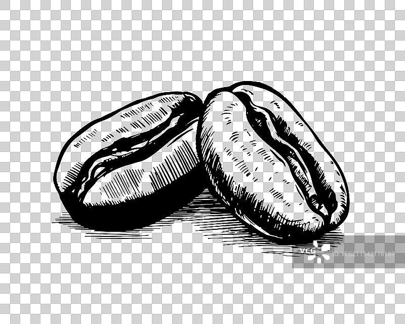 手绘咖啡豆图片素材