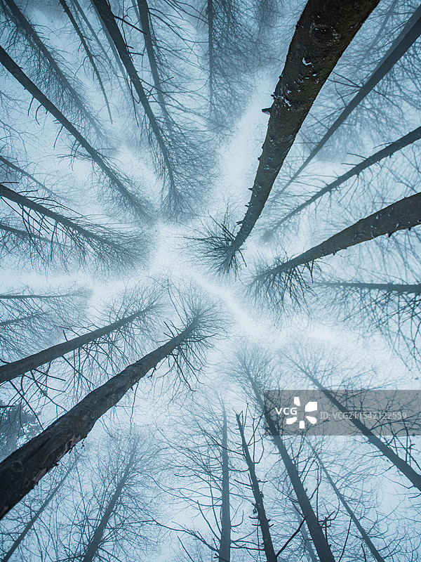 成都天国寺的雪景图片素材