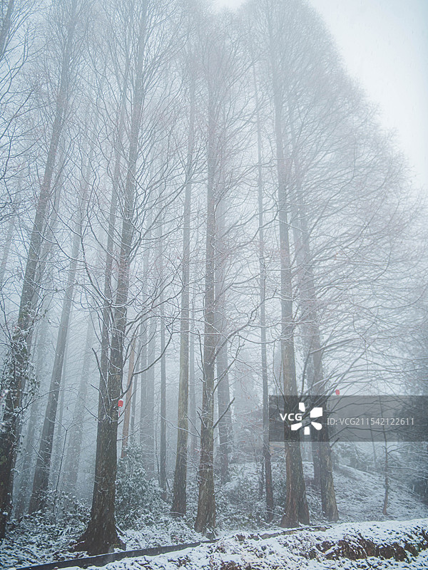 成都天国寺的雪景图片素材
