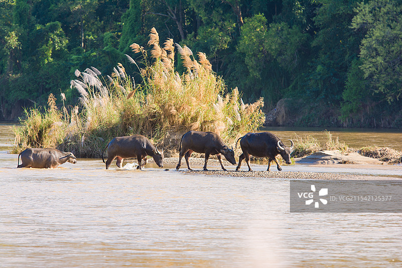 大盈江图片素材