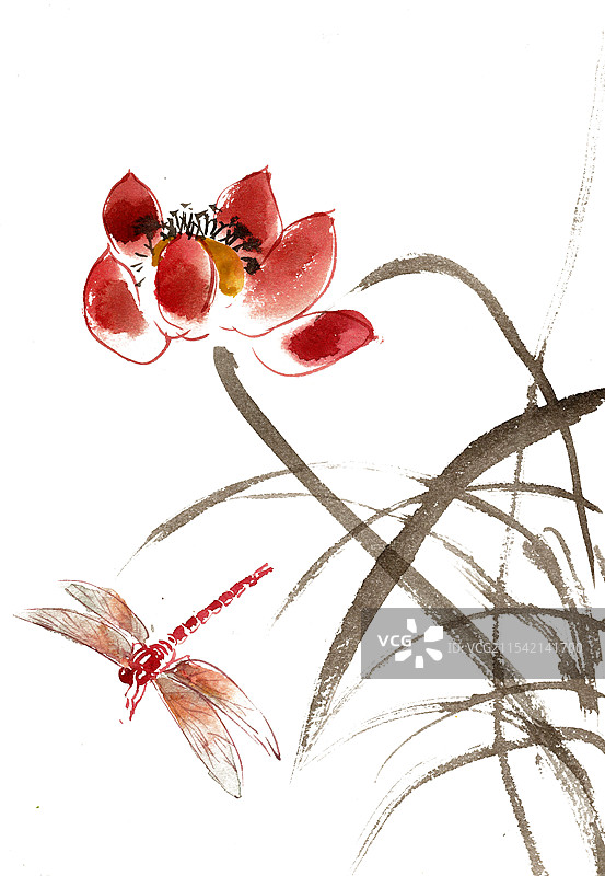 荷花与蜻蜓图片素材