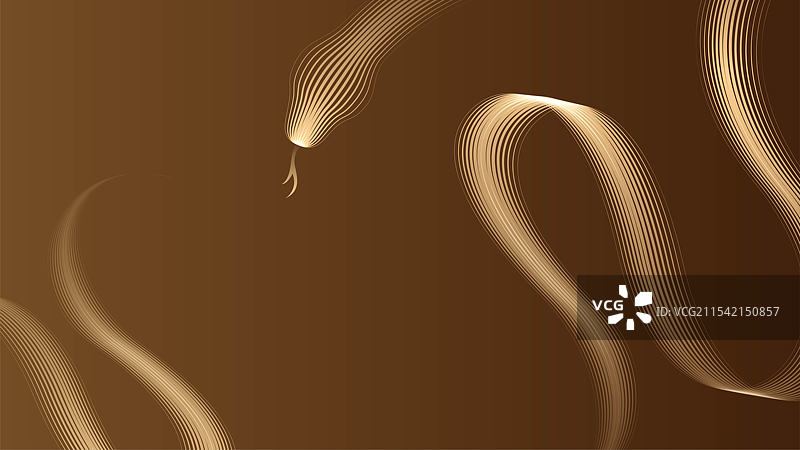 蛇年抽象线条插画图片素材