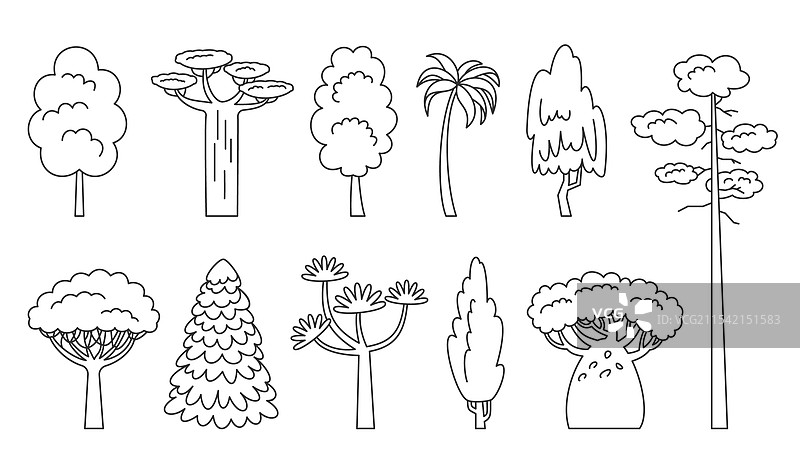 树线设定的涂色书，异国植物森林图片素材
