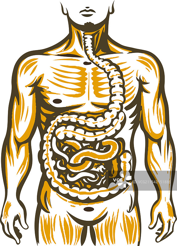 复古风格的蠕动图示图片素材