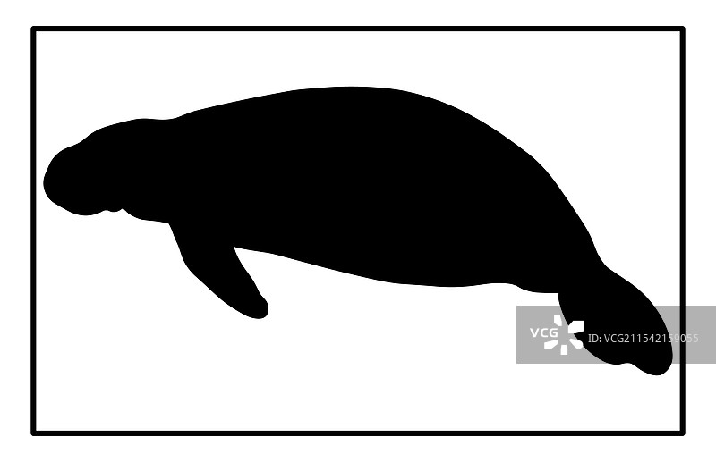 海牛轮廓动物图标海洋生物图片素材