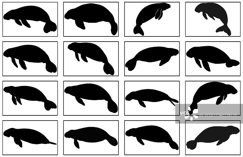 海牛剪影动物图标海洋生物图片素材