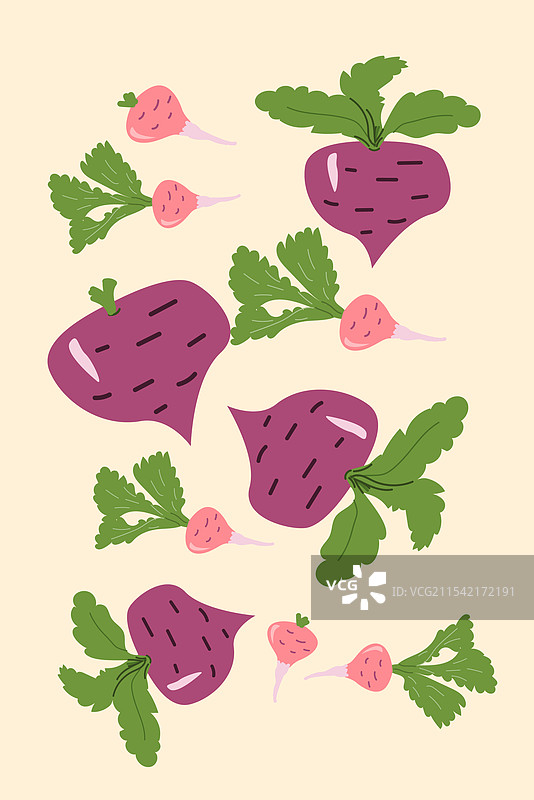 各种新鲜的萝卜和芜菁，带有绿色叶子图片素材