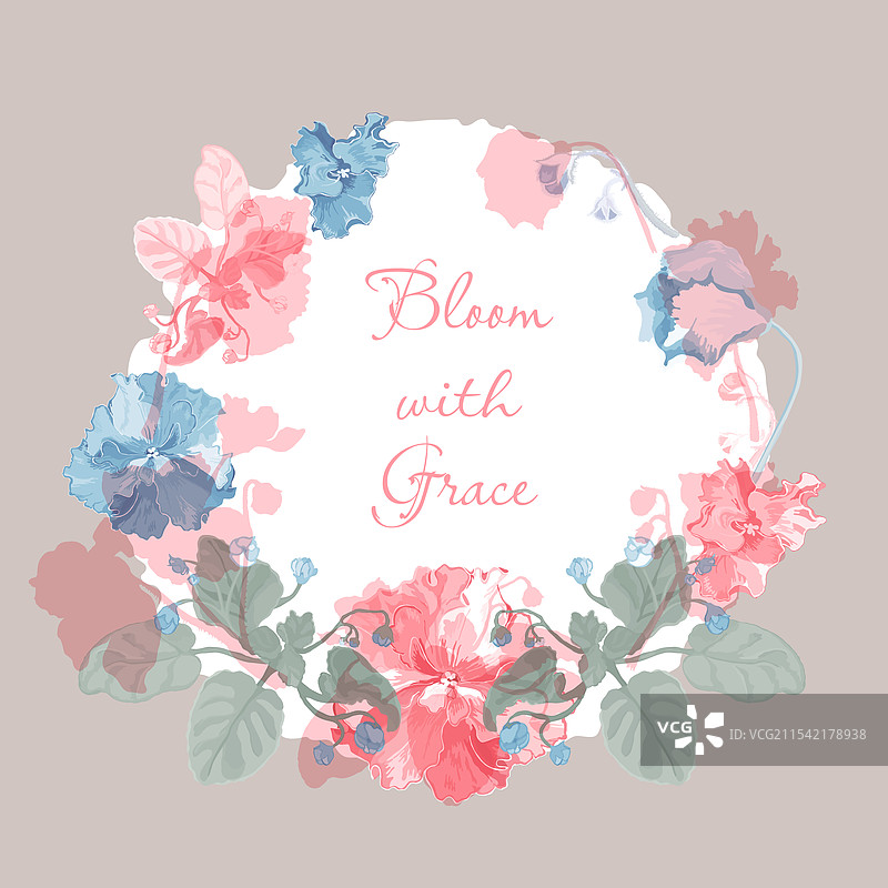 花园里盛开着娇嫩的紫罗兰图片素材