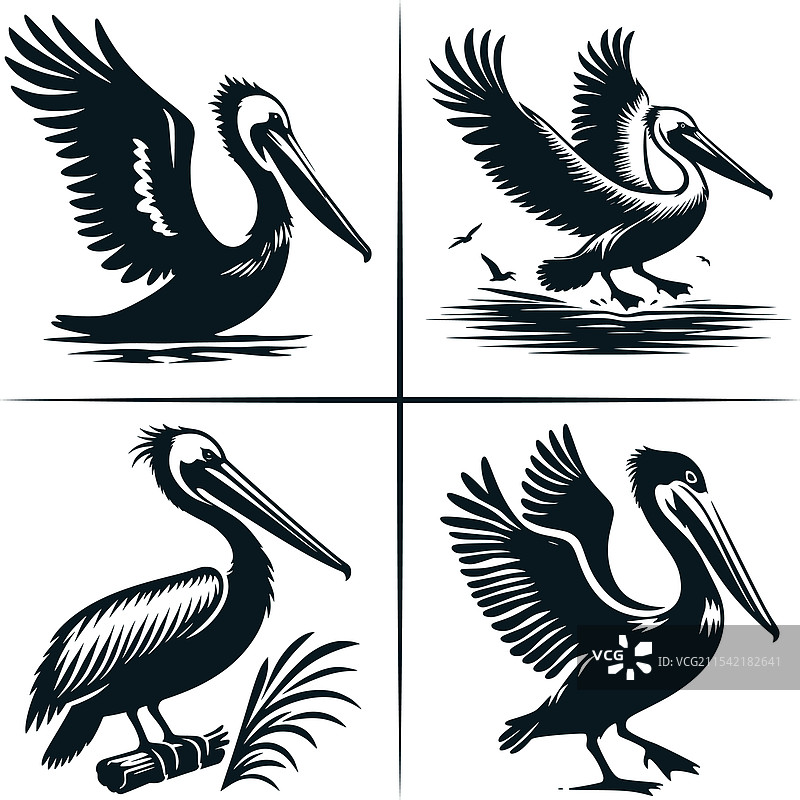 路易斯安那州鹈鹕日落剪影文件图片素材