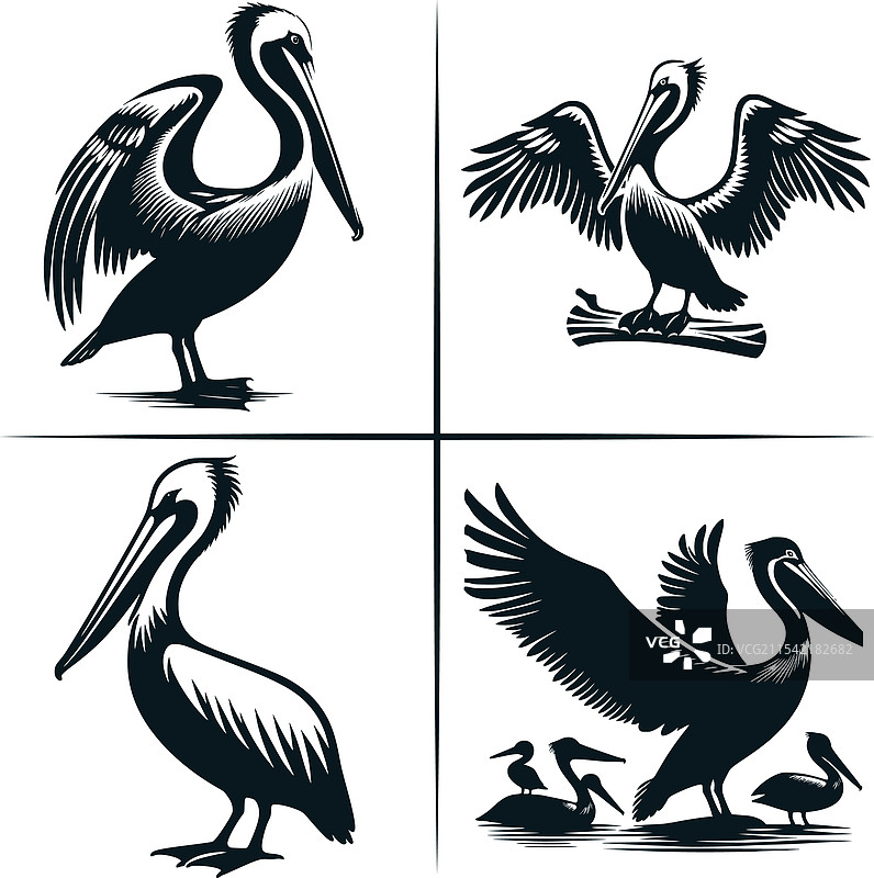 路易斯安那州鹈鹕日落剪影文件图片素材