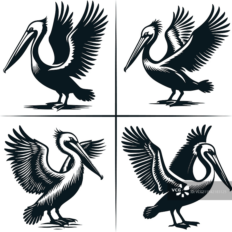 路易斯安那州鹈鹕日落剪影文件图片素材