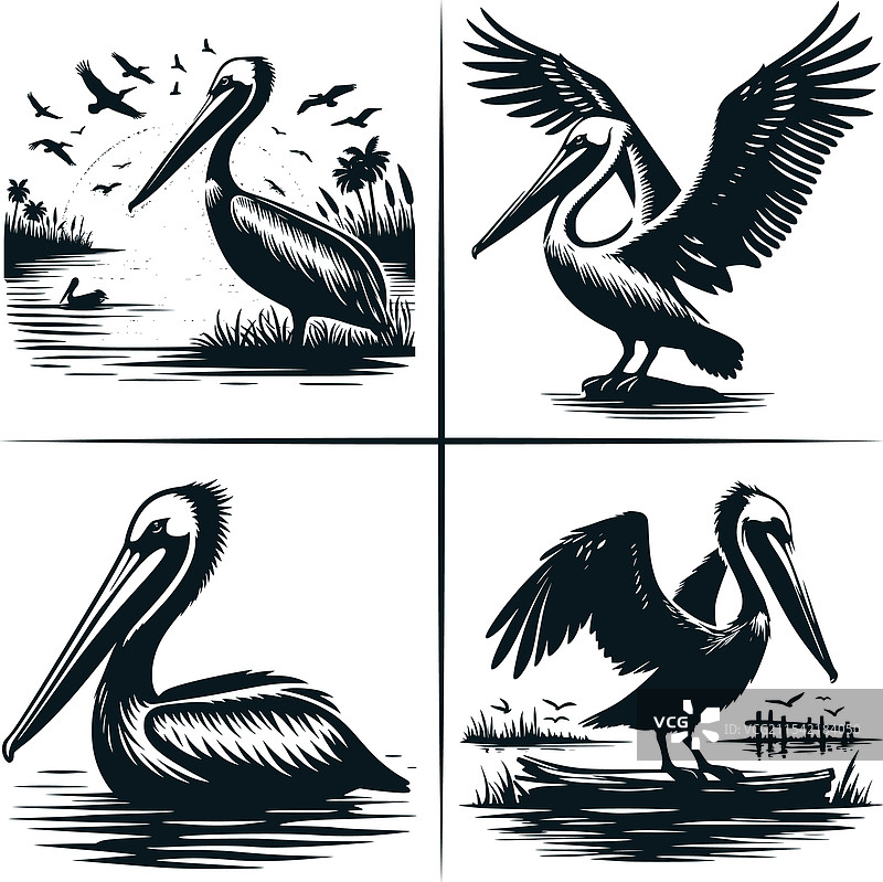 路易斯安那州鹈鹕日落剪影文件图片素材