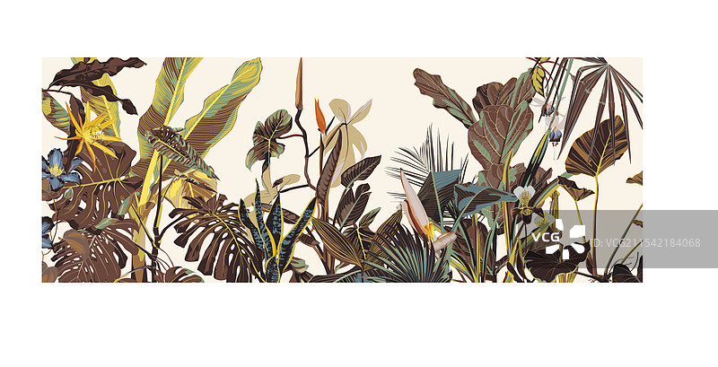 热带植物景观图片素材